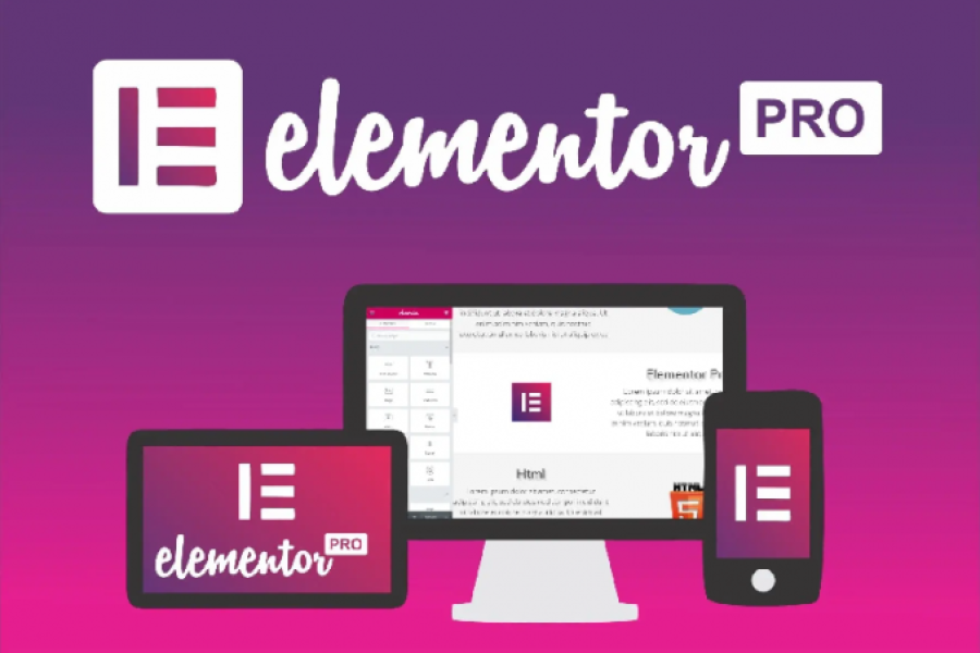 Elementor Pro Original